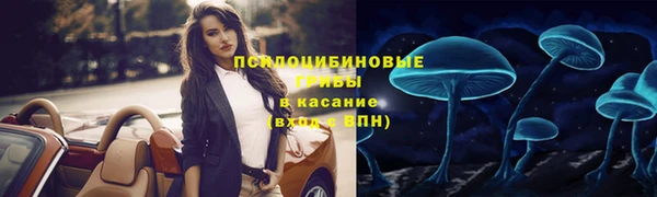 дживик Балахна